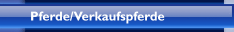 Pferde/Verkaufspferde