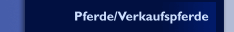 Pferde/Verkaufspferde